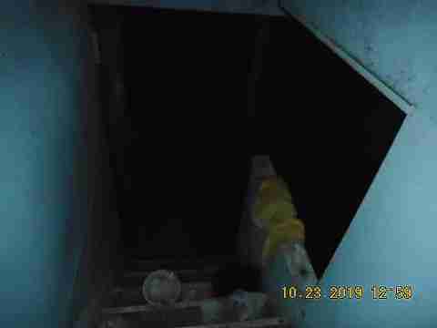 11377 Penrod (17)_m.jpg